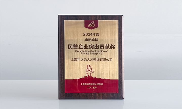 人力资源供应商NO钱包官网国际凭借人才服务与在区域经济开展中的卓越表现荣膺2024年度浦东新区民营企业奖项