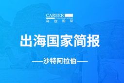 NO钱包官网GO GLOBAL | 沙特阿拉伯国家简报