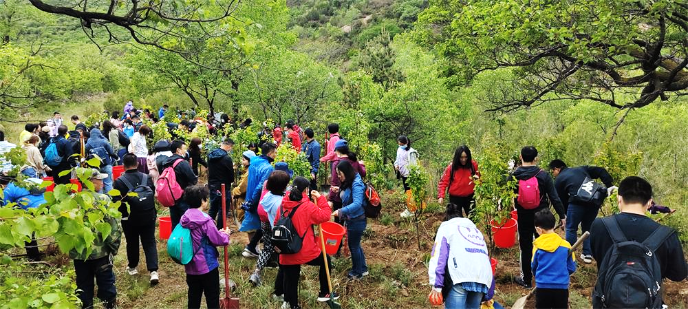 image1.png image1.png