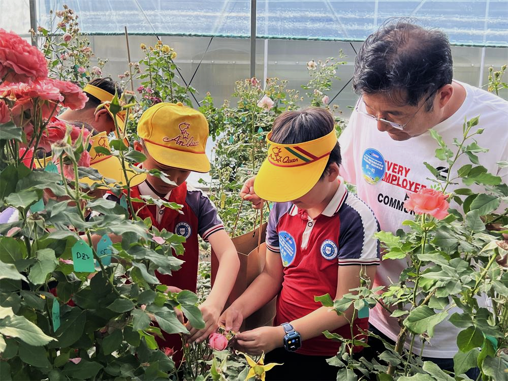 image5.png image5.png